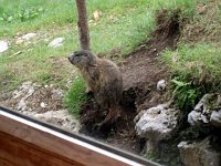 Da Rusio, frazione di Castione, al Rifugio Rino Olmo per la Valle dei Mulini - FOTOGALLERY